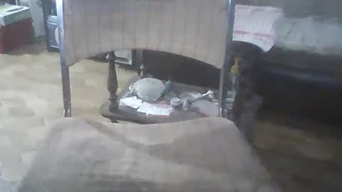 Snapshot of bigpenix chatting on 21, 12, 2024 bigpenix online show from 21, 12, 2024