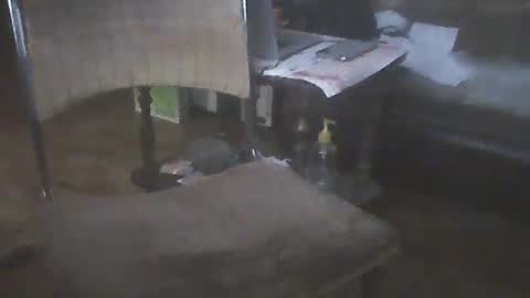 Snapshot of bigpenix chatting on 15, 1, 2025 bigpenix online show from 15, 1, 2025