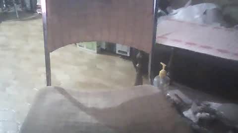 Snapshot of bigpenix chatting on 26, 1, 2025 bigpenix online show from 26, 1, 2025