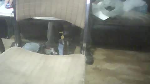 Snapshot of bigpenix chatting on 17, 10, 2025 bigpenix online show from 17, 10, 2025