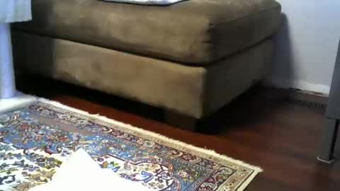 Snapshot of bigr_101 chatting on 16, 11, 2025 bigr_101 online show from 16, 11, 2025