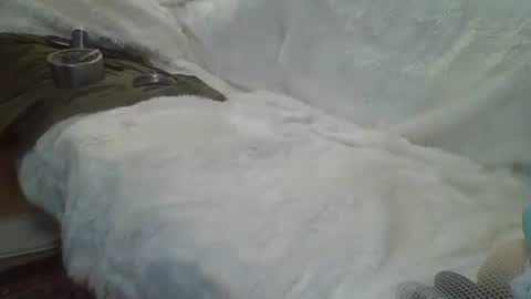 Snapshot of bigreallover chatting on 14, 12, 2024 ...... online show from 14, 12, 2024