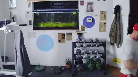 Jarvis online show from 8, 2, 2025