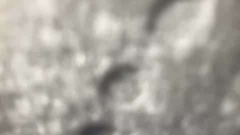 biguywithtoys online show from 22, 12, 2024