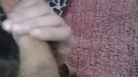 Snapshot of bigwalkdog420 chatting on 26, 1, 2025 bigwalkdog420 online show from 26, 1, 2025