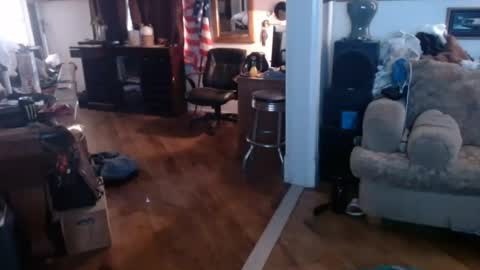 bigwoodman831 online show from 17, 7, 2026