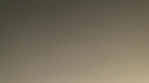 bill95099 online show from 15, 1, 2025