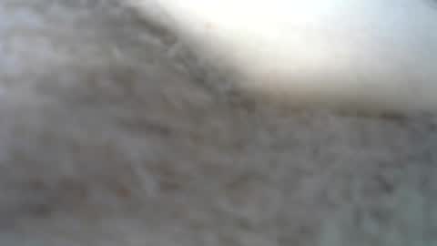 billpark20 online show from 22, 5, 2026