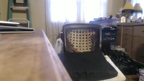 Bimbttm online show from 20, 12, 2024