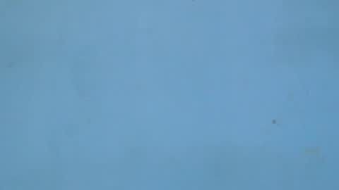 Snapshot of birdiexxslut chatting on 18, 11, 2025 birdiexxslut online show from 18, 11, 2025