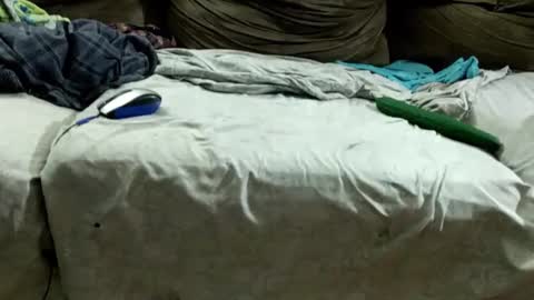 boyslave online show from 7, 12, 2024