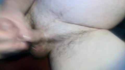 playful dude online show from 7, 12, 2024