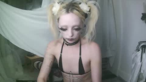 vampire fang  online show from 7, 1, 2026