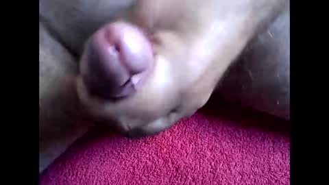 blabla78000 online show from 15, 9, 2025