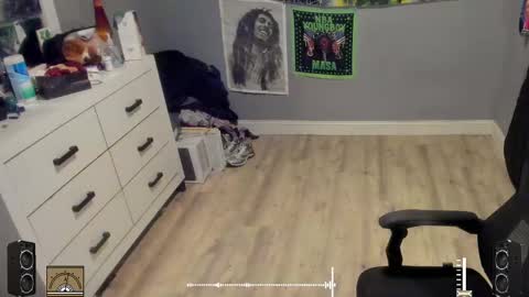 Snapshot of blaccanalmatters chatting on 17, 10, 2025 Plant Base Streamers From Pennsylvania online show from 17, 10, 2025