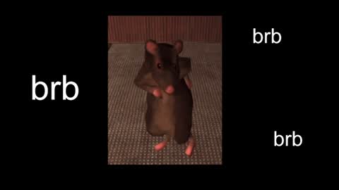  Black Kittie    Wednesday - 1300 - 1900 GMT help me get 100 thumbs up online show from 31, 1, 2025