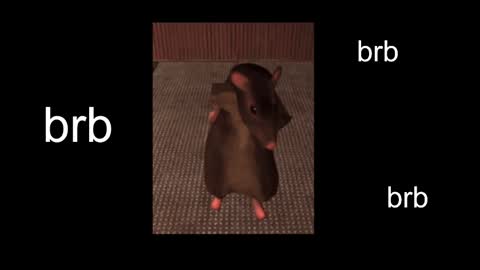  Black Kittie    Wednesday - 1300 - 1900 GMT help me get 100 thumbs up online show from 13, 2, 2025