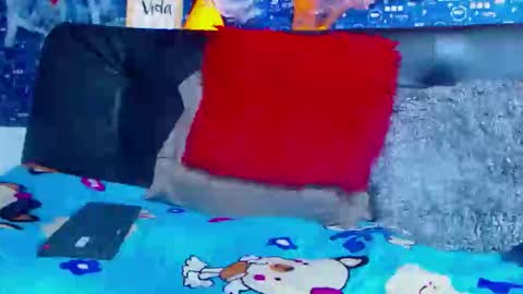 duglas online show from 5, 11, 2025