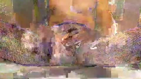 blackbigdickfr online show from 20, 12, 2025