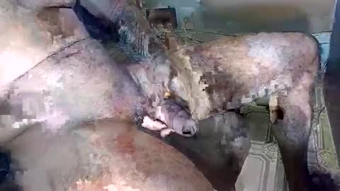 Snapshot of blackedbigdick chatting on 18, 10, 2025 blackedbigdick online show from 18, 10, 2025