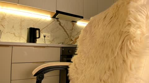 Snapshot of blackmilk_01 chatting on 20, 1, 2025 Karina online show from 20, 1, 2025