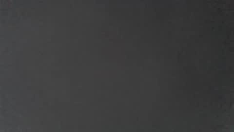 blacktights1 online show from 17, 3, 2026