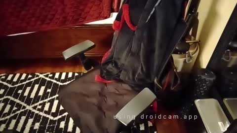 Blackjag00 online show from 3, 3, 2025