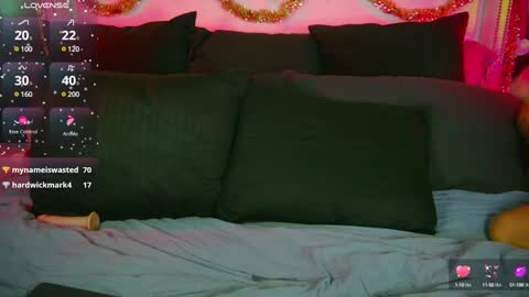 Snapshot of blondiluvsanal chatting on 13, 12, 2024 Blondi online show from 13, 12, 2024
