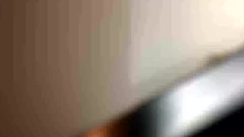 blue_cum_bunny123 online show from 16, 7, 2026
