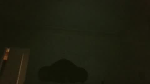 bluemoose70 online show from 19, 4, 2026