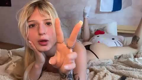 Delle online show from 27, 6, 2026