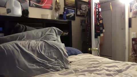 Snapshot of bobs520 chatting on 8, 1, 2025 Bobby520 online show from 8, 1, 2025