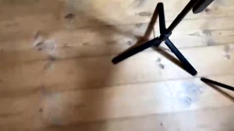 Snapshot of bohemianrhapsody1 chatting on 4, 12, 2025 Nail and Olivia online show from 4, 12, 2025