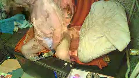 Bomber59potsdam online show from 6, 1, 2025