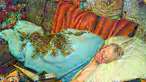 Bomber59potsdam online show from 1, 3, 2025