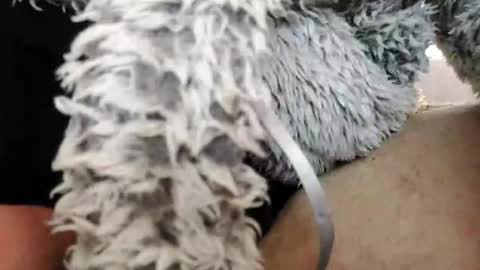 Snapshot of bomberto33 chatting on 10, 2, 2025 Bomberto online show from 10, 2, 2025