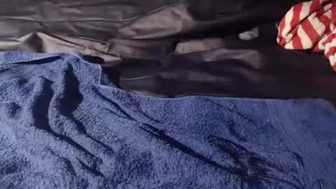 Bomm65 online show from 19, 11, 2025