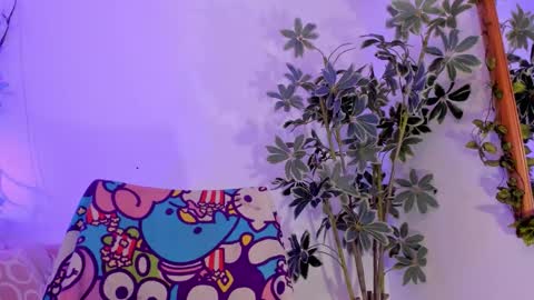   online show from 11, 1, 2026