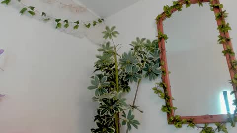   online show from 19, 3, 2026