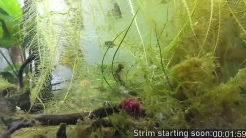 Snapshot of booker_baxton chatting on 5, 12, 2024 Booker Baxton online show from 5, 12, 2024