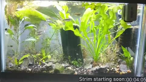 Snapshot of booker_baxton chatting on 15, 12, 2024 Booker Baxton online show from 15, 12, 2024