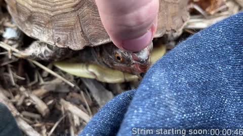 Snapshot of booker_baxton chatting on 21, 12, 2024 Booker Baxton online show from 21, 12, 2024