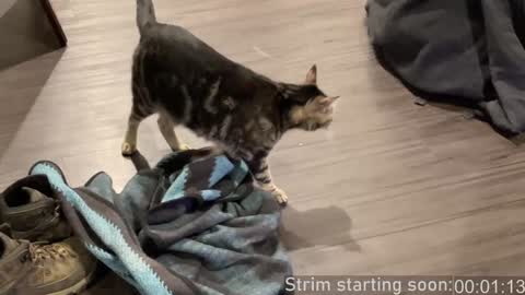 Snapshot of booker_baxton chatting on 28, 12, 2024 Booker Baxton online show from 28, 12, 2024