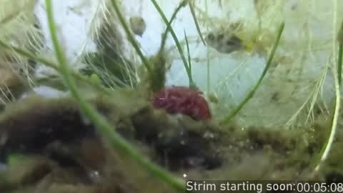 Snapshot of booker_baxton chatting on 29, 12, 2024 Booker Baxton online show from 29, 12, 2024