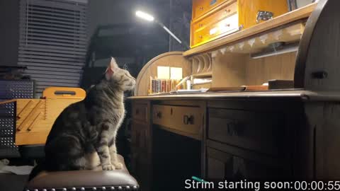 Snapshot of booker_baxton chatting on 9, 1, 2025 Booker Baxton online show from 9, 1, 2025