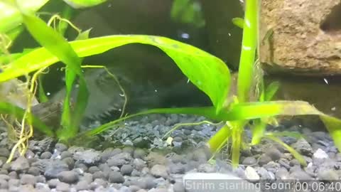 Snapshot of booker_baxton chatting on 14, 1, 2025 Booker Baxton online show from 14, 1, 2025