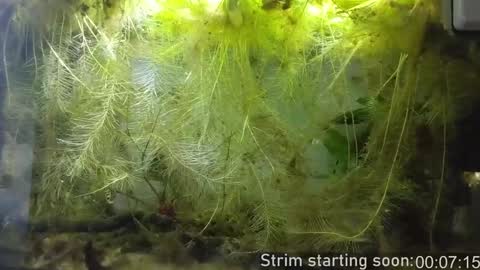 Snapshot of booker_baxton chatting on 15, 1, 2025 Booker Baxton online show from 15, 1, 2025