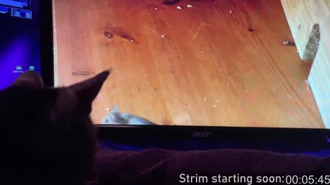 Snapshot of booker_baxton chatting on 2, 2, 2025 Booker Baxton online show from 2, 2, 2025