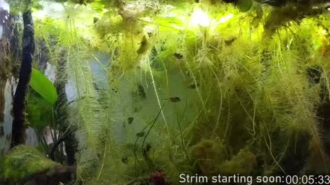 Snapshot of booker_baxton chatting on 4, 2, 2025 Booker Baxton online show from 4, 2, 2025