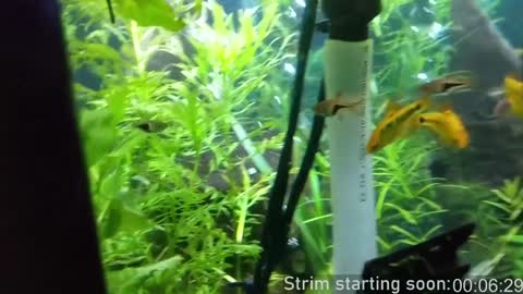 Snapshot of booker_baxton chatting on 8, 2, 2025 Booker Baxton online show from 8, 2, 2025